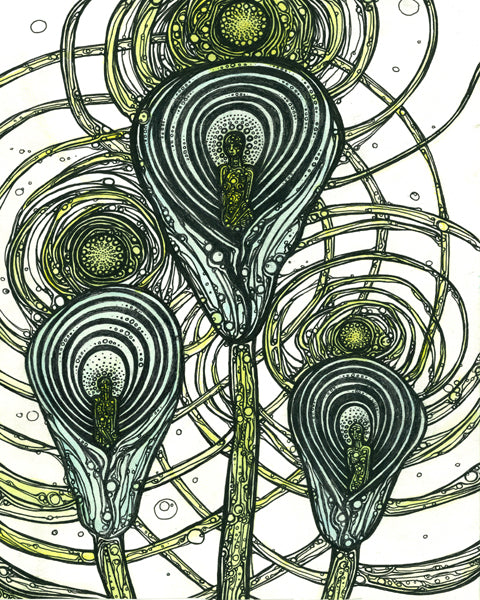 Calla Lily Graces | Open Edition Giclée Reproduction