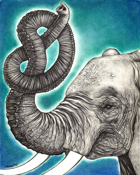 Knot an Elephant | Open Edition Giclée Reproduction