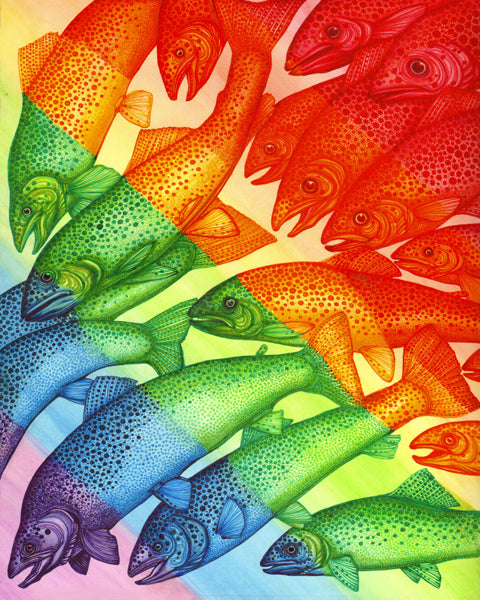 Rainbow Trout | Open Edition Giclée Reproduction